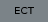 ECT