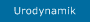 Urodynamik